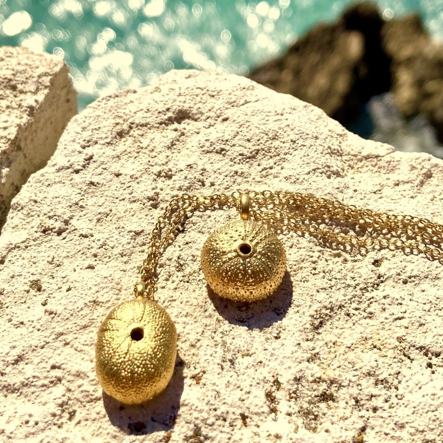 Golden Sea Biscuit - BKBLondon